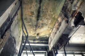 Best Mold Prevention Services  in Vinita Park, MO